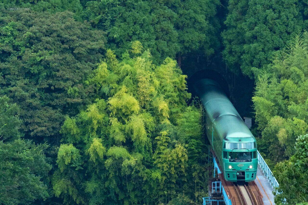 Top 6 des trains JR Kyushu à prendre en 2025